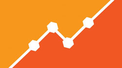 Web Analytics Professional Training & Proctored Certification Exam